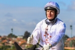 Super One To Coolmore Stud Stakes Despite Shock Defeat Super One To Coolmore Stud Stakes Despite Shock Defeat