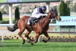 Nordic Empire on trial for William Reid Stakes