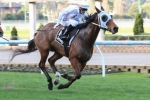 The Cleaner To Dato’ Tan Chin Nam Stakes The Cleaner To Dato’ Tan Chin Nam Stakes