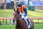 Under The Louvre to miss Sir Rupert Clarke Stakes