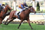 Under The Louvre Primed for The Goodwood