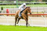 Campbell Delighted With Cauthen Campbell Delighted With Cauthen