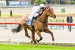 Classy Colts To Clash In Vain Stakes
