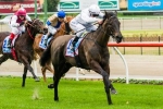Hayes’ Great Esteem for Caulfield Guineas Hope