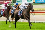 Hawkes Not Happy With Maroon Bay Barrier Draw Hawkes Not Happy With Maroon Bay Barrier Draw