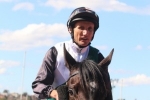 Furious Dame something to chase in W.A. Guineas Furious Dame something to chase in W.A. Guineas
