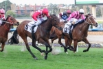 Iconic back to his best with win in Carlyon Stakes Iconic back to his best with win in Carlyon Stakes