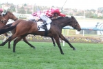 Iconic Could Take Place In Manikato Stakes Field