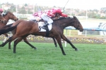 Oakleigh Plate Worth The Wait With Iconic Oakleigh Plate Worth The Wait With Iconic