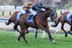 Moonee Valley the Key to Success for Mourinho Moonee Valley the Key to Success for Mourinho