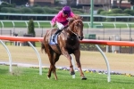 Henry Bucks Stakes A Key Run For Merion Henry Bucks Stakes A Key Run For Merion