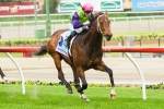 Cauthen Not Included In 2013 Caulfield Guineas First Acceptances