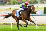 Cauthen to improve on more spacious Melbourne tracks