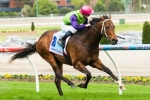 Cauthen to improve on more spacious Melbourne tracks Cauthen to improve on more spacious Melbourne tracks
