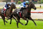 Hayes Confident Gregers Can Step-Up In The Danehill Stakes Hayes Confident Gregers Can Step-Up In The Danehill Stakes