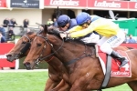 Atlantic Jewel Stakes scratching Roomooz still on track for Thousand Guineas