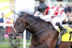 No Interest for Awesome Rock in Cox Plate Betting