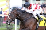 No Interest for Awesome Rock in Cox Plate Betting No Interest for Awesome Rock in Cox Plate Betting