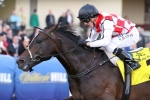 Awesome Rock on track for C.F. Orr Stakes return Awesome Rock on track for C.F. Orr Stakes return
