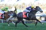 Chautauqua Salutes in McEwen Stakes First-Up