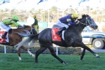 2015 Stakes Day Results: Turn Me Loose Wins 2015 Emirates Stakes 2015 Stakes Day Results: Turn Me Loose Wins 2015 Emirates Stakes