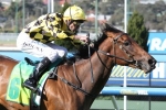 Good barrier to help Stay With Me in Thousand Guineas
