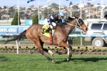 Underwood Stakes 2015: The Cleaner In Even Better Condition