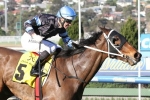 The Cleaner not to run in Bletchingly Stakes