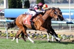 Angelic Light To Resume In The McEwen Stakes