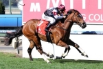 Angelic Light Enjoying Stint In The Spelling Paddock