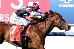 Slick gallop boosts Angelic Light’s chances in William Reid Stakes
