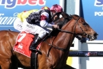 Griffiths Hoping For Inside Winterbottom Stakes Barrier