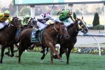 2014 Sir Rupert Clarke Stakes: Atlante The Value