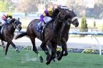 St Jean Still In Caulfield Cup Contention Following Impressive Win St Jean Still In Caulfield Cup Contention Following Impressive Win