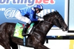 Tawteen to test her speed in Black Caviar Lightning Tawteen to test her speed in Black Caviar Lightning