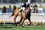 Wide Gate No Concern For The Cleaner In JRA Cup Wide Gate No Concern For The Cleaner In JRA Cup