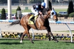 The Cleaner Included In P.B. Lawrence Stakes Nominations