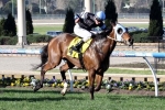 The Cleaner On Track For Australian Cup The Cleaner On Track For Australian Cup