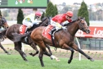 Russian Revolution on track to conquer 2018 Oakleigh Plate