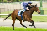 Atlantic Jewel’s Staying Credentials To Be Put To The Test In The Underwood Stakes Atlantic Jewel’s Staying Credentials To Be Put To The Test In The Underwood Stakes