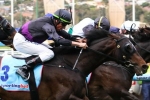 Melbourne Cup favourite Fiorente holds onto top spot Melbourne Cup favourite Fiorente holds onto top spot