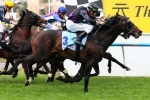 Melbourne Cup Betting Favourite Fiorente Ready To Make History