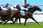 Fiorente Tops Melbourne Cup Betting After Perfect Draw