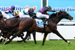 2013 Melbourne Cup: Horse Facts & Stats 2013 Melbourne Cup: Horse Facts & Stats