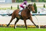 Le Bonsir A Winning Chance In Sir John Monash Stakes