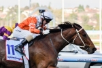 Caulfield Cup Berth On The Line For Oasis Bloom