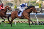 Sea Lord Capable of Sir John Monash Stakes Success