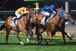 11 In Moir Stakes Field 11 In Moir Stakes Field