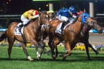 Buffering On Track For Moir Stakes Return