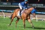 Pike gives Shining Knight chance in Winterbottom Stakes